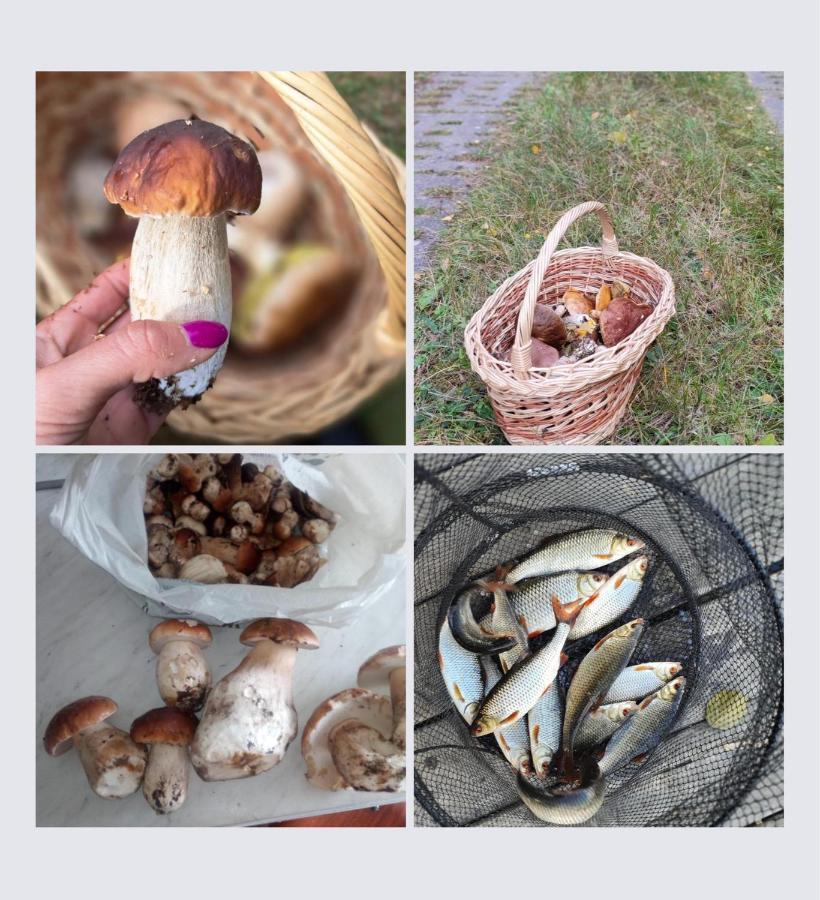 Iguhouse Villa Czaplinek Luaran gambar